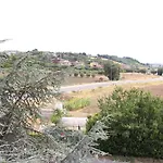 Mio Centobuchi