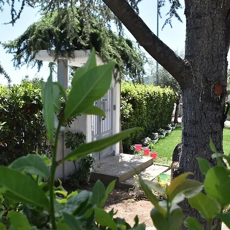 Mio Bed & Breakfast *